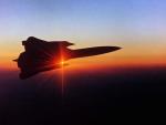 le skybacks